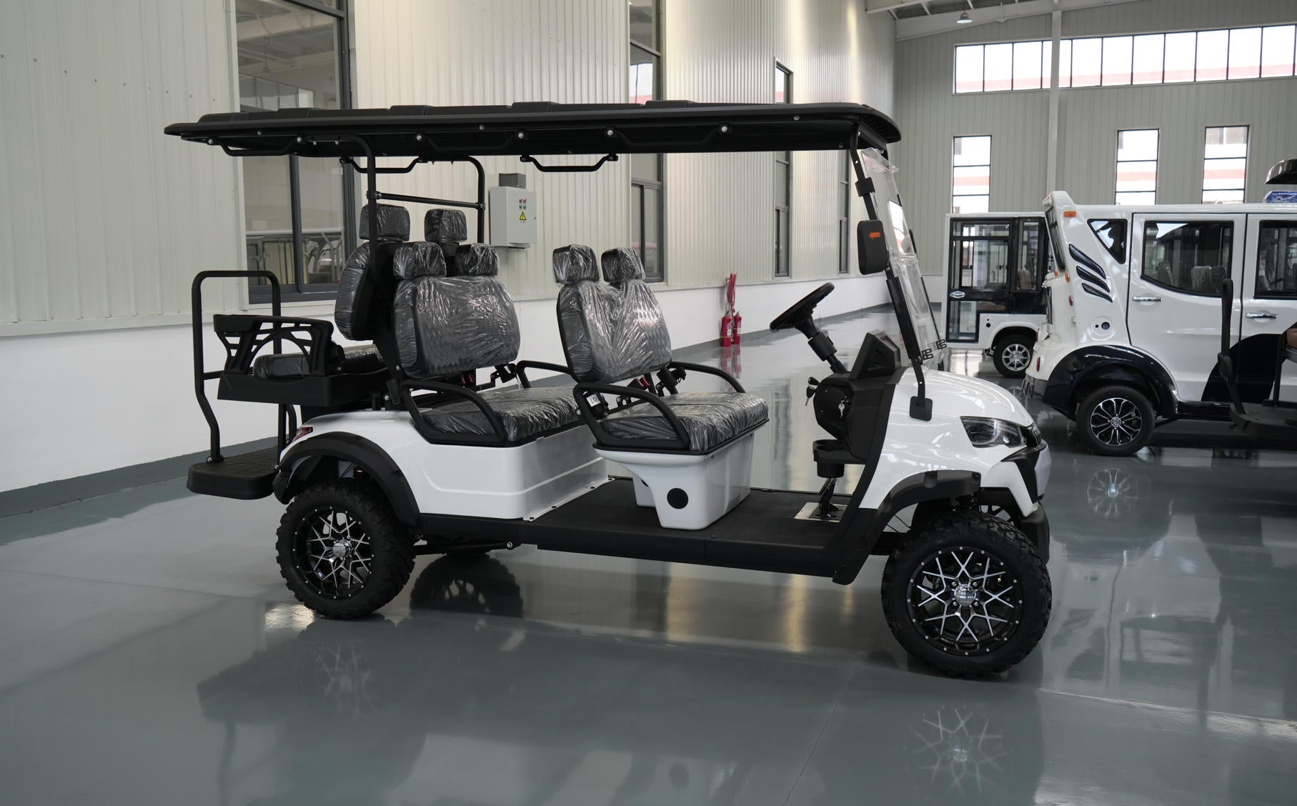 Electric golf cart