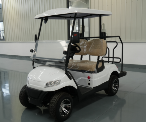 Electric golf cart