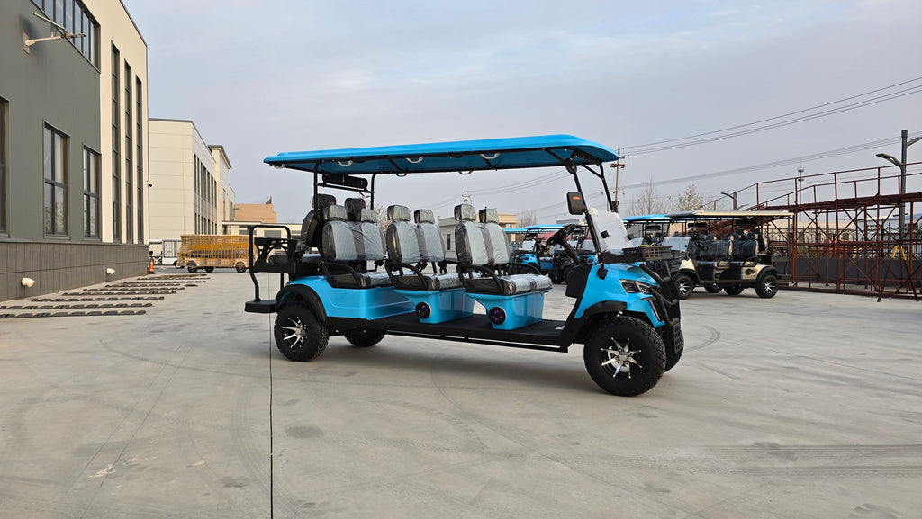 Electric golf cart 6
