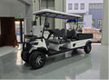 Electric golf cart 10