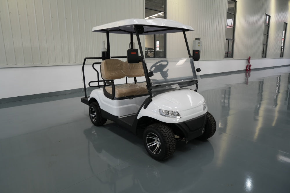 Electric golf cart 5