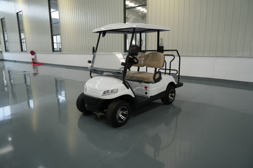 Electric golf cart 5