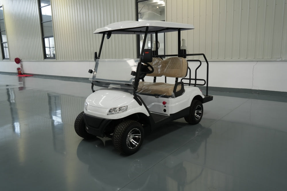 Electric golf cart 5