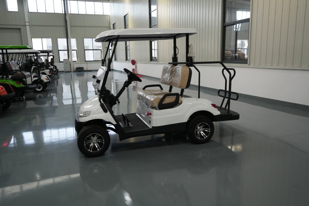 Electric golf cart 5