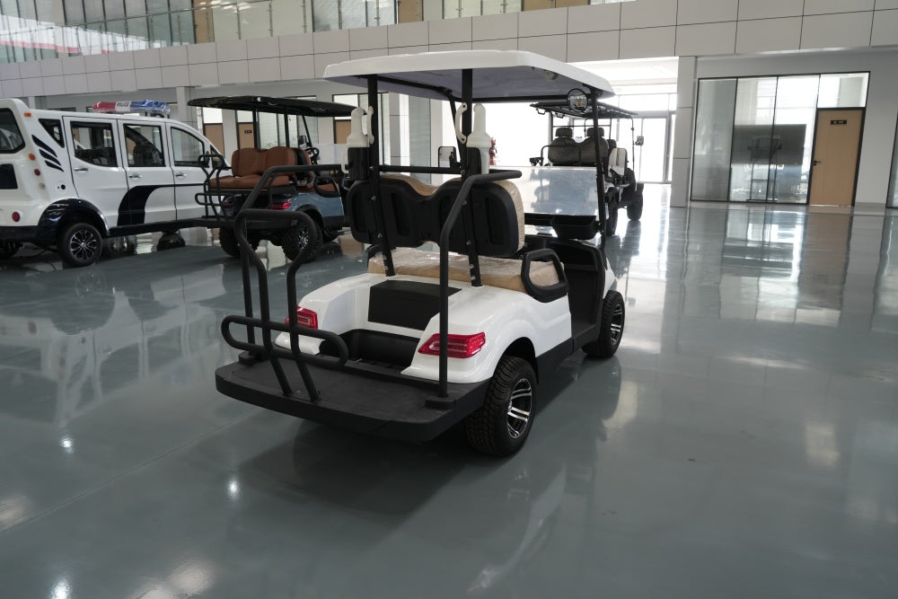 Electric golf cart 5