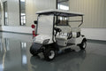 Electric golf cart 7