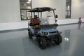 Electric golf cart 8