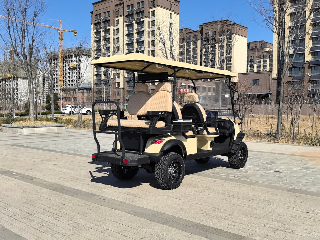 Electric golf cart 6