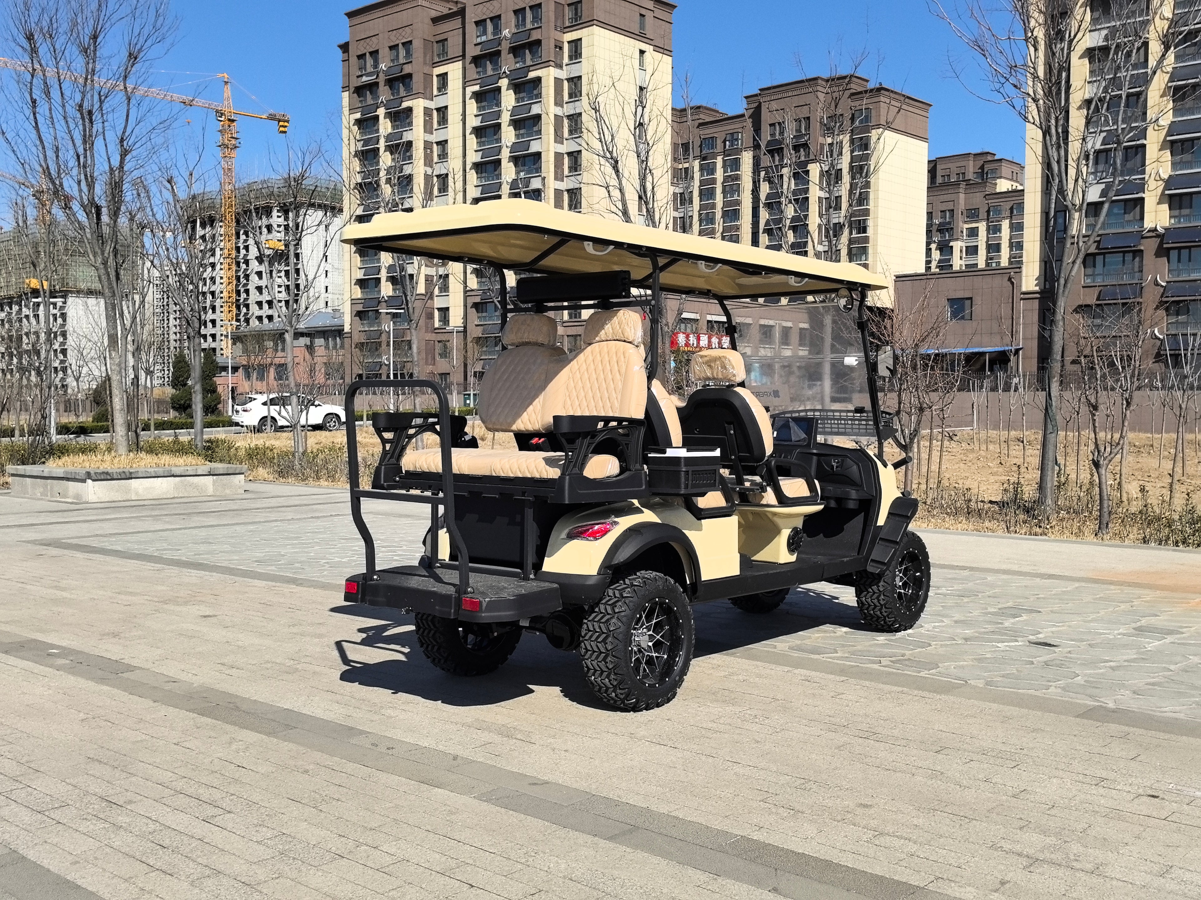 Electric golf cart 6