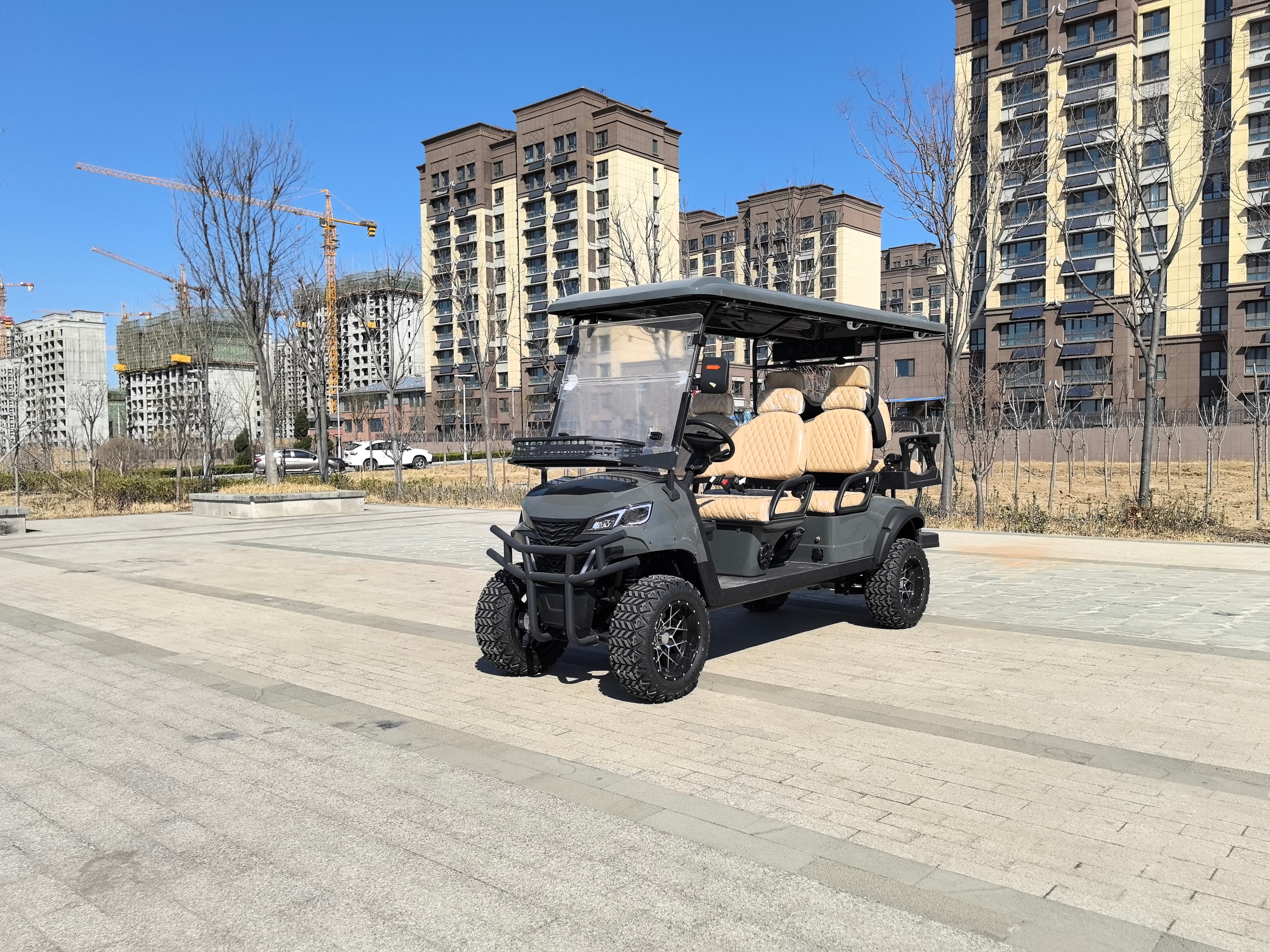 Electric golf cart 6
