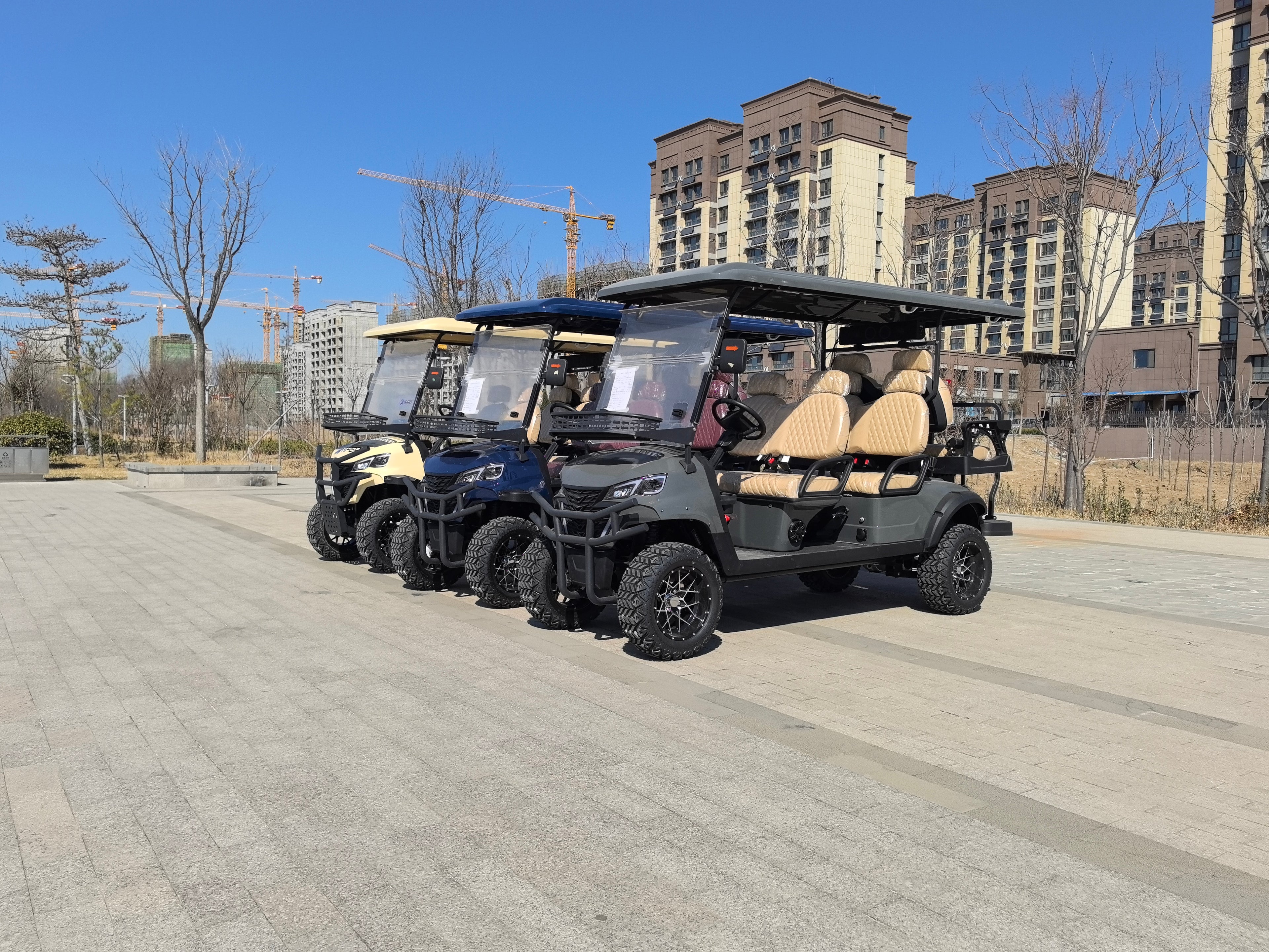 Electric golf cart 6